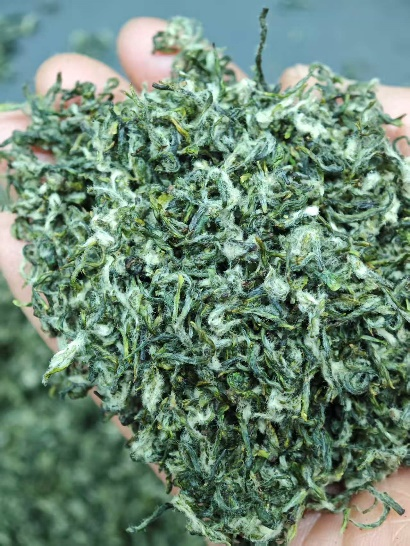 南京茶